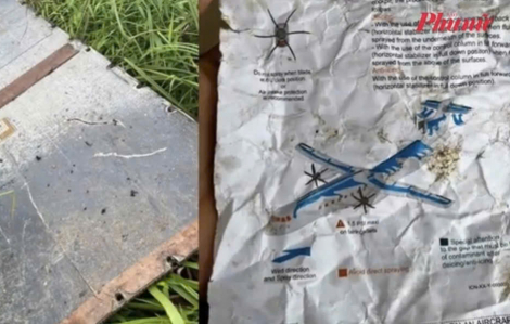 Máy bay Indonesia chở 11 người mất tích khi ở độ cao 3.000m