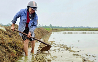 Cần tăng cường quản lý tình trạng lạm dụng thuốc “cỏ cháy” ở miền Trung