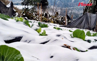 Miền Bắc sắp rét đậm, vùng núi có thể dưới 6 độ C