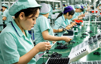 Người lao động làm gì để đứng vững trong 'cơn bão' số hóa?