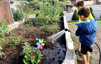 Yêu môi trường từ những cuộc dạo chơi