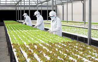 Chúng ta có đủ điều kiện, tiềm năng, dư địa và tự tin để thực hiện mục tiêu tăng trưởng 2 con số