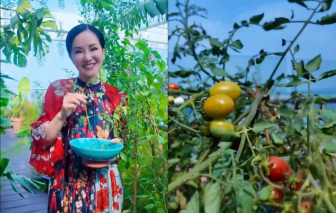 Diva Hồng Nhung và vườn cây trái xanh mướt trên penthouse