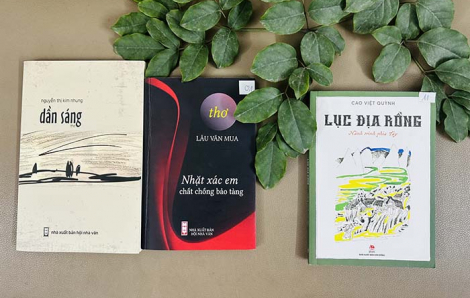 Tác giả trẻ bị thu hồi giải thưởng vì đạo văn: Giữ mình mới đi được đường dài