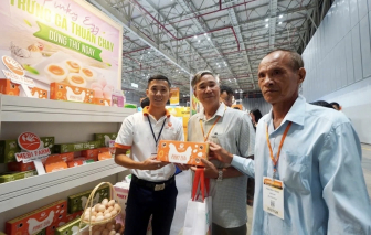 Doanh nghiệp, kiều bào kỳ vọng Đại hội XIV của Đảng tạo động lực mới cho kinh tế Việt Nam