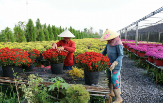 Giáp tết, về miền Tây ghé thăm những làng nghề trăm tuổi