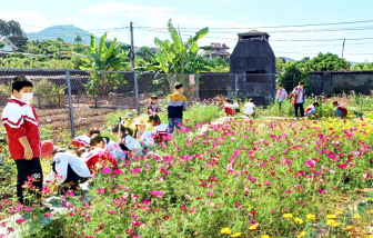 Những bài học sống động từ vườn trường