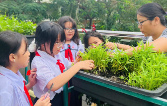 Những bài học sống động từ vườn trường