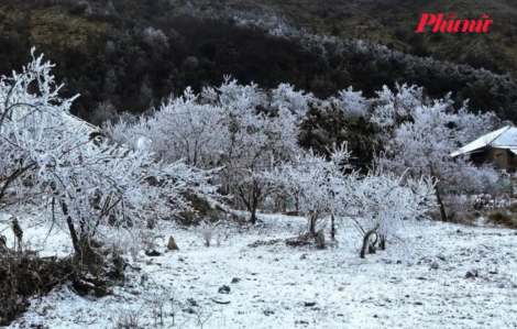 Miền Bắc co ro trong rét hại, Mẫu Sơn xuống mức 0 độ C