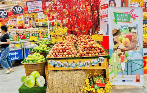 Sampling táo Pháp: Gia đình Việt được “chạm - nếm - cảm” hương vị châu Âu ngay trong mùa lễ hội