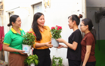 Phường Trung Mỹ Tây ra mắt mô hình nhà trọ xanh, an toàn