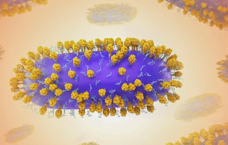 Vi rút cảm lạnh thông thường có thể làm tăng nguy cơ mắc bệnh tim nghiêm trọng