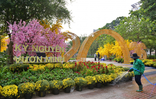 Lộ diện vườn hoa tết đầu tiên trên “đất vàng” ở TPHCM