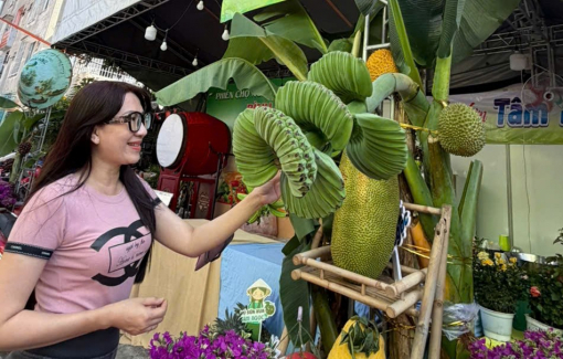 Chuối bàn tay phật, bưởi đỏ tiến vua, dưa hấu thỏi vàng… cháy hàng trước tết