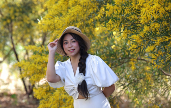 Check-in rừng keo lá tràm nhuộm vàng cung đường biển Phan Thiết