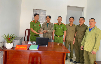 Phát hiện cá thể tê tê đi lạc, người dân tự nguyện giao nộp cho cơ quan chức năng