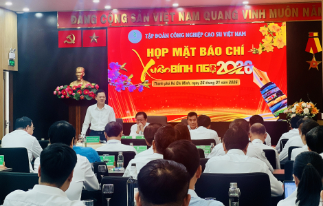 Ngành cao su nộp ngân sách Nhà nước hơn 4.500 tỉ đồng