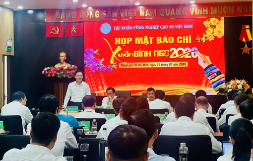 Ngành cao su nộp ngân sách Nhà nước hơn 4.500 tỉ đồng