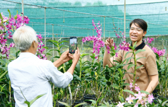 Nông dân sớm chốt nhiều đơn hàng tết nhờ chủ động rao bán trên mạng