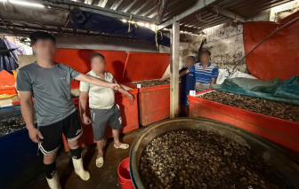 Triệt phá đường dây ngâm thịt ốc bằng hóa chất sản xuất xi - măng, quy mô đặc biệt lớn