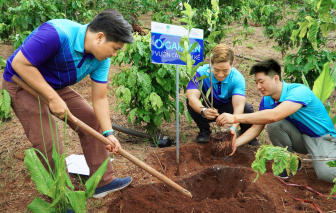 Trồng cây vì môi trường và sinh kế của cộng đồng