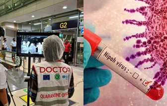 Virus Nipah bùng phát, nhiều nước châu Á cảnh giác cao độ trước dịp tết