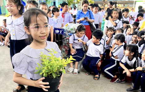 Những trải nghiệm sinh động từ trường học
