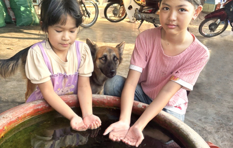 Học từ con trẻ