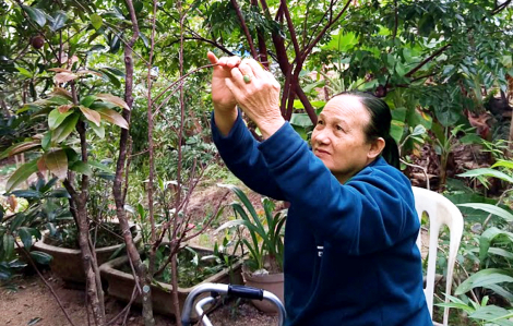 Tháng Chạp trong khu vườn có mẹ