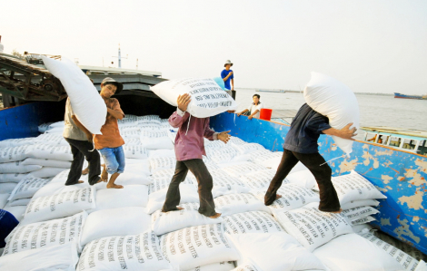 Vụ đông xuân 2025-2026: Nông dân sốt ruột chờ tiêu thụ lúa