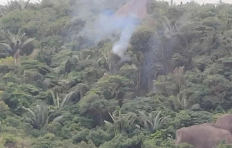 Bộ Quốc phòng thông tin về sự cố máy bay quân sự rơi ở Đắk Lắk