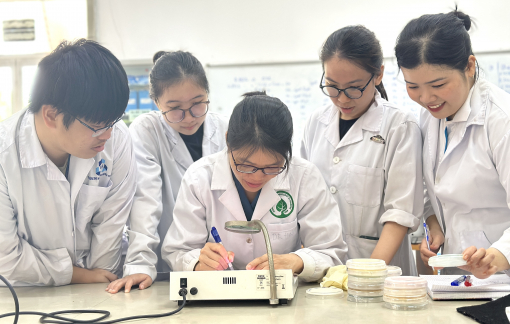 Đại học Quốc gia TPHCM ra mắt Hội đồng Cố vấn chiến lược và Trung tâm Đổi mới sáng tạo