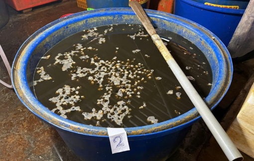 Mỗi ngày chúng ta ăn bao nhiêu chất độc vào người?