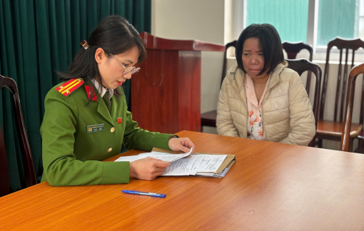 Nữ giúp việc trong vụ bạo hành cụ bà 82 tuổi từng có tiền án về trộm cắp tài sản