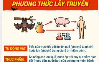Bộ Y tế siết chặt an toàn thực phẩm phòng bệnh do vi rút Nipah