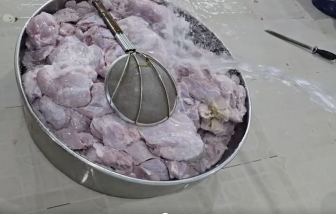 Thực phẩm bẩn vào trường học: cha mẹ còn bảo vệ con được đến đâu?