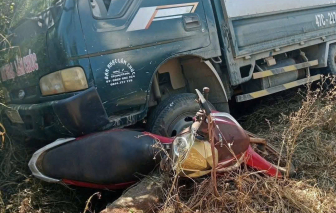 Xe tải tự trôi tông 2 mẹ con thương vong