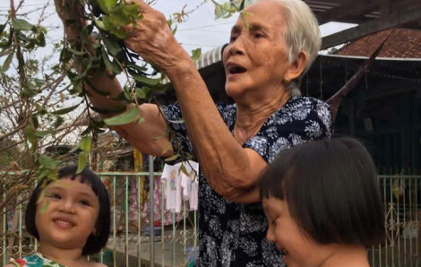 Có ai về nhà lặt lá mai với má?