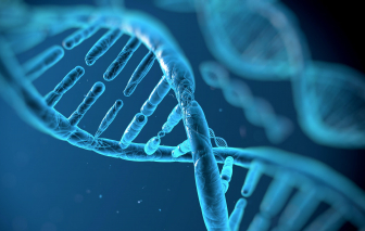 Mỹ phát triển AI có thể “đọc hiểu” ADN của con người