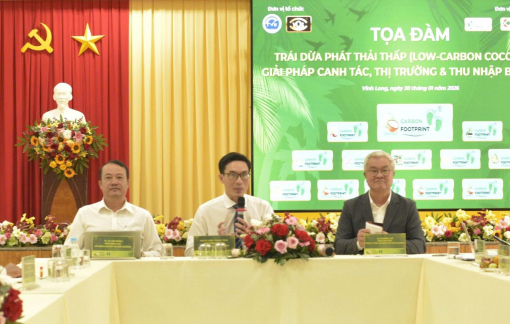 Mở rộng vùng trồng dừa phát thải thấp, đáp ứng yêu cầu các thị trường khó tính