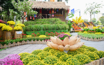 Check in tết sớm với đường hoa gần sân bay Tân Sơn Nhất