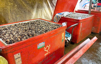 Ăn ốc ngâm thủy tinh lỏng: Chuyên gia khuyên kiểm tra ngay gan, thận