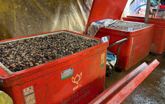 Bộ Y tế yêu cầu tăng cường kiểm tra đột xuất thực phẩm mùa tết