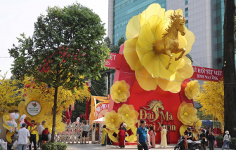 Người dân xúng xính áo dài “check in” ngựa phi ra từ hoa mai