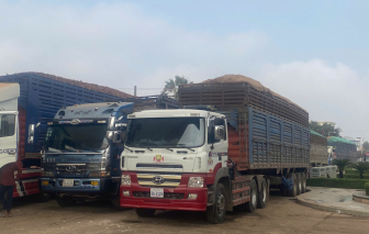 Nông sản, thực phẩm ùn ứ tại nhiều cửa khẩu đã được thông quan