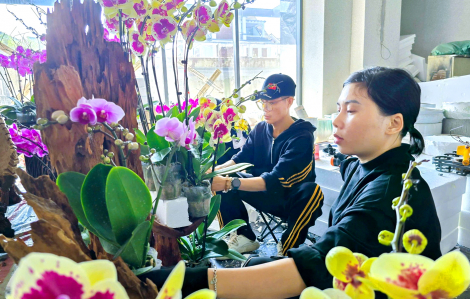 Chạy đua kiếm tiền mùa tết