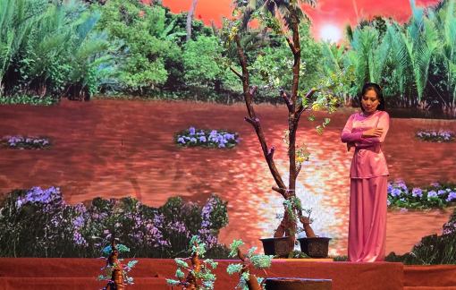 ‘Cây lẻ bạn’ - màu lạ trên sân khấu cải lương