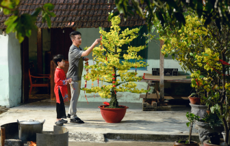 Đàm Vĩnh Hưng và tham gia thị trường nhạc Tết Bính Ngọ với màu sắc lạ