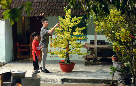 Đàm Vĩnh Hưng và tham gia thị trường nhạc Tết Bính Ngọ với màu sắc lạ