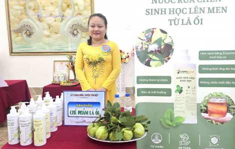 Người phụ nữ ở An Giang biến lá ổi thành nước rửa sinh học